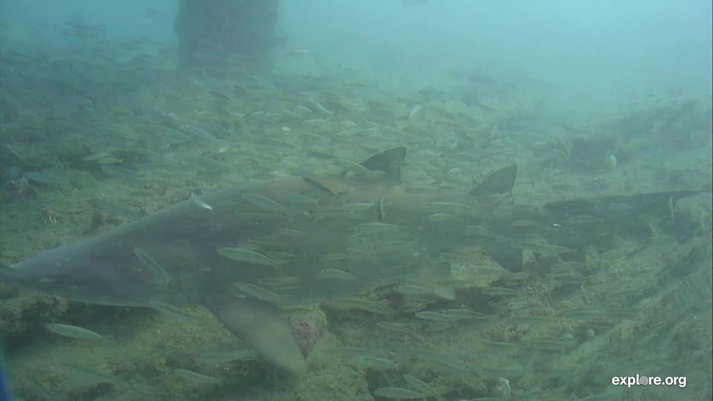 6e7b96f8-6517-4efb-ad62-0c6ef0b1e221