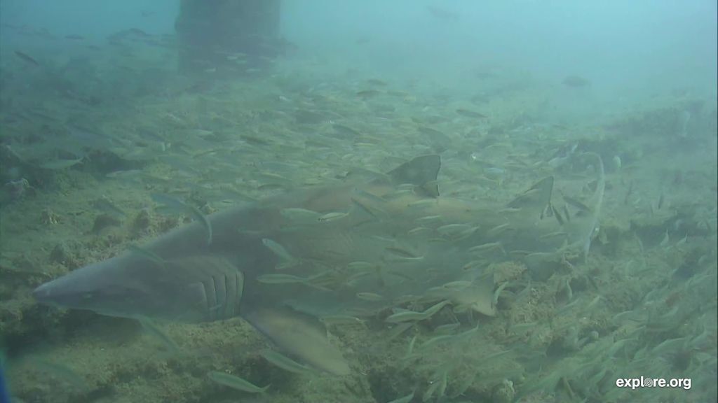 6e7b96f8-6517-4efb-ad62-0c6ef0b1e221