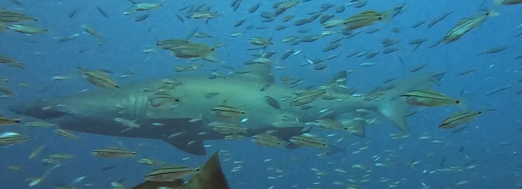 dcd433f8-2ea7-4732-9856-fd5e0e2a2427