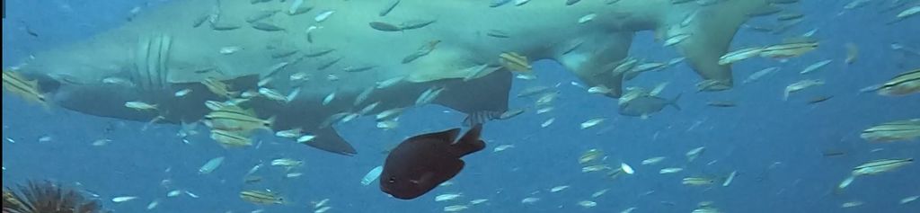 dcd433f8-2ea7-4732-9856-fd5e0e2a2427