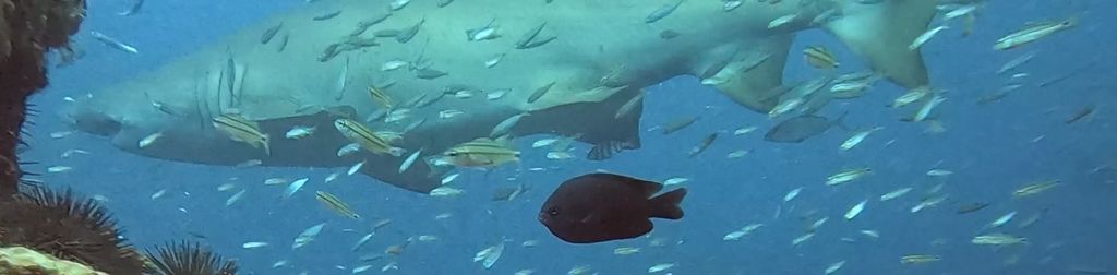 dcd433f8-2ea7-4732-9856-fd5e0e2a2427