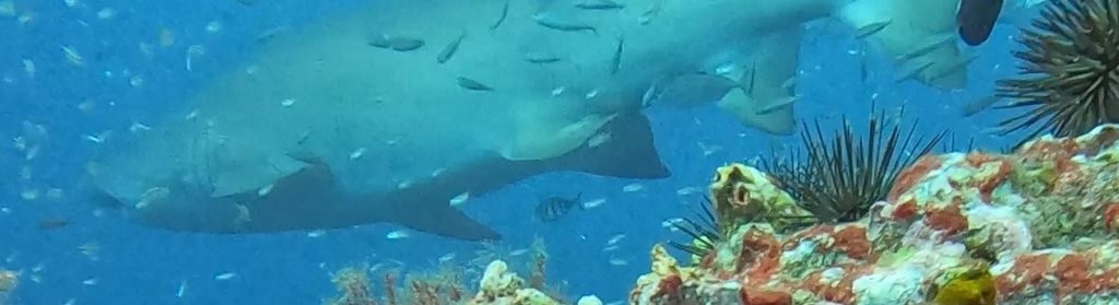 dcd433f8-2ea7-4732-9856-fd5e0e2a2427