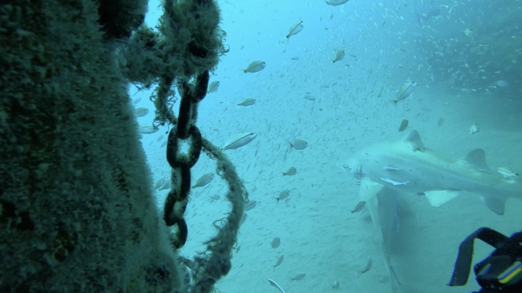 1e277a74-5a1b-4e22-bdfa-7cf3e2c63fd1