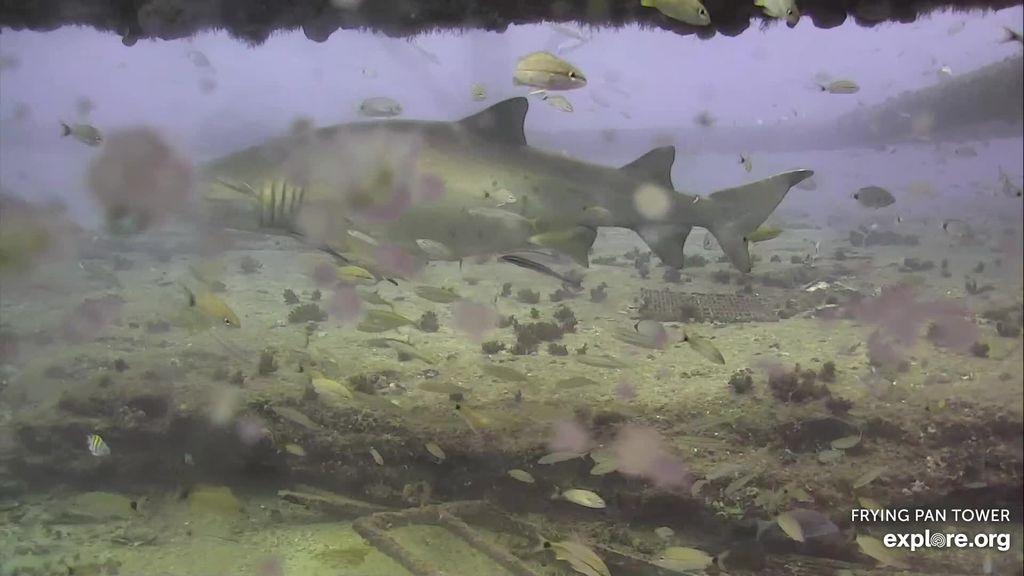 f385f7ed-18f4-488b-ad31-4631acc7fc78