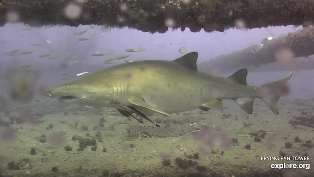 f385f7ed-18f4-488b-ad31-4631acc7fc78