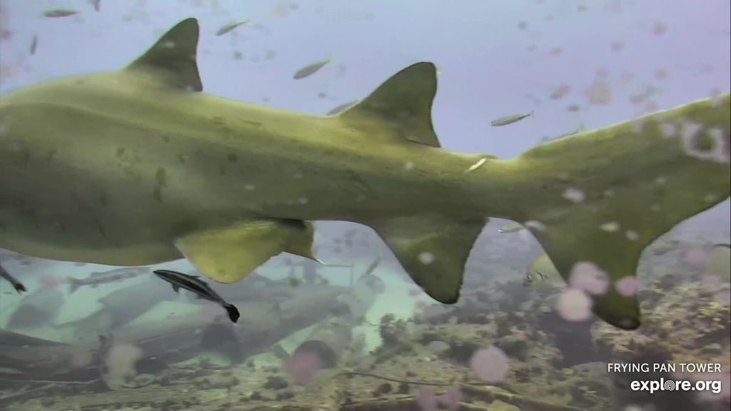 f385f7ed-18f4-488b-ad31-4631acc7fc78