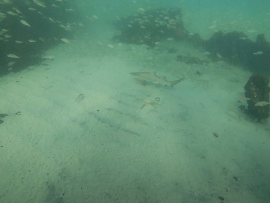 cdf89bd6-05a4-405b-ac26-1d25ee756e34