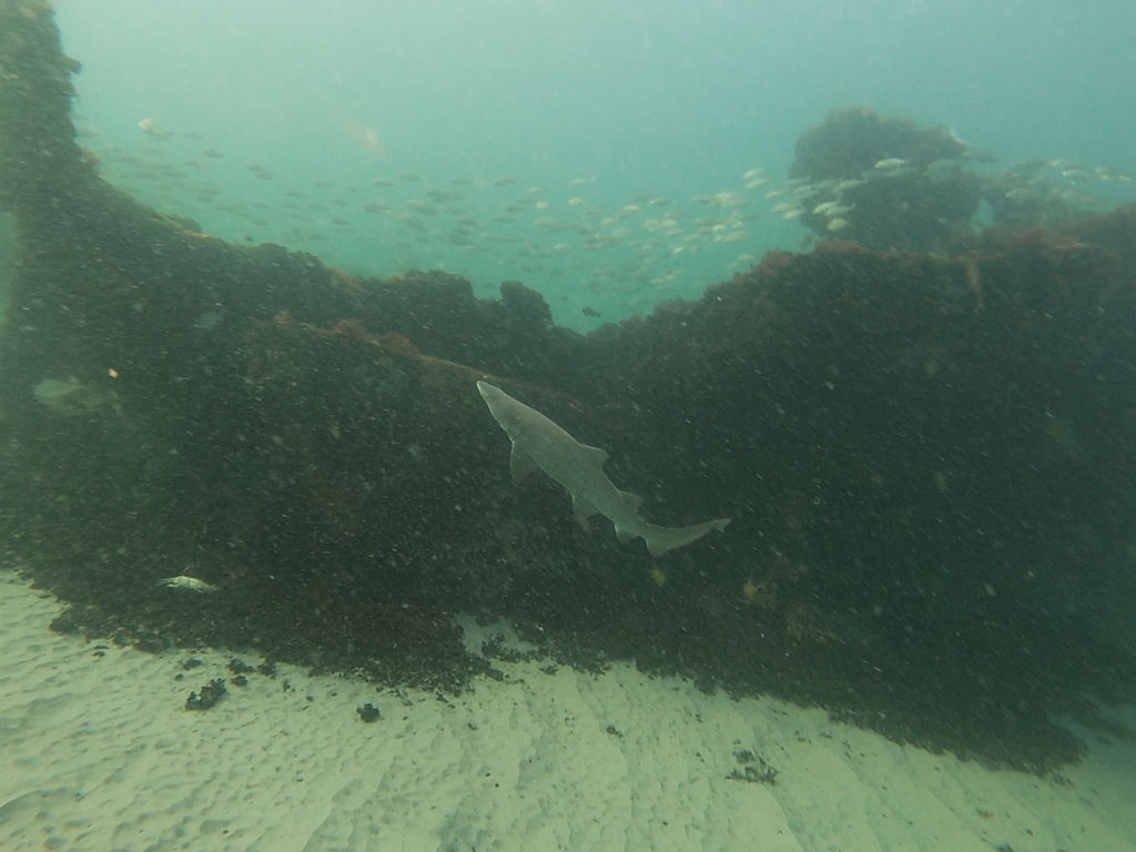 cdf89bd6-05a4-405b-ac26-1d25ee756e34