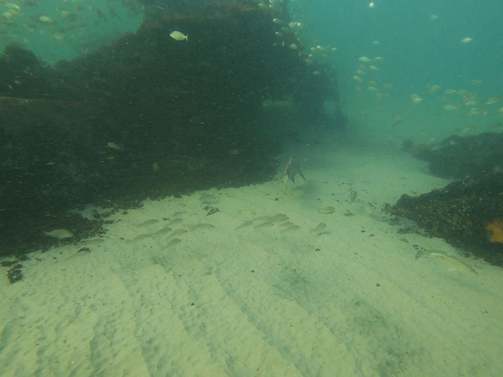 cdf89bd6-05a4-405b-ac26-1d25ee756e34