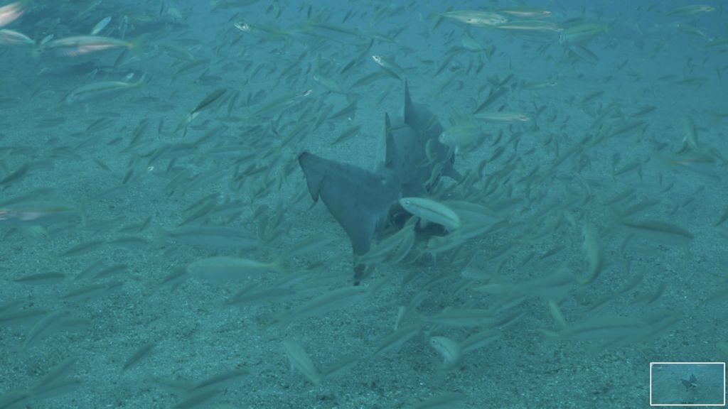 8fd0a345-c0ed-4c85-b183-f1b626a3eb07