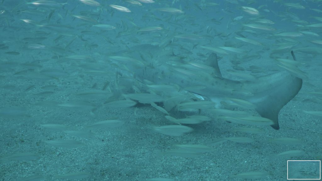 8fd0a345-c0ed-4c85-b183-f1b626a3eb07