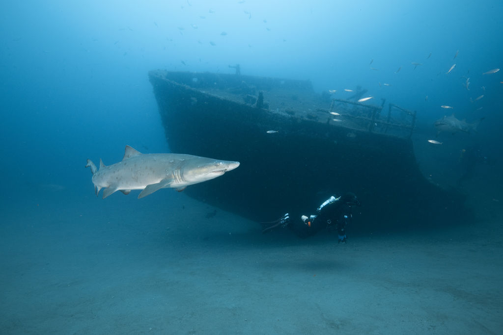 91ecb409-6c13-4a97-9b6b-cad7dfaba16d