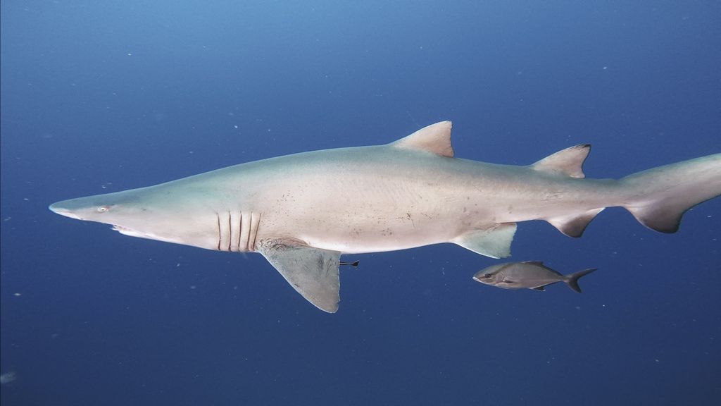 bf02d391-c35e-4c07-bb13-d7641bc23493