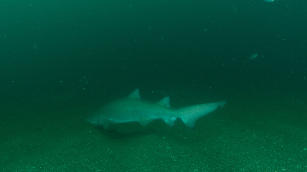 b8f5a32c-9d42-477a-b7f8-f45a1477c22b