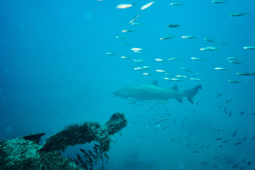 e995646f-b924-4511-a78d-1fa15b7c9167