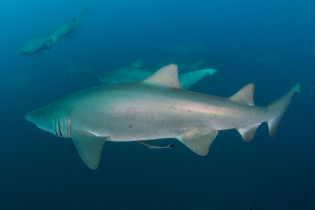 6674a80e-9db9-4ad8-b67f-39aade780c98