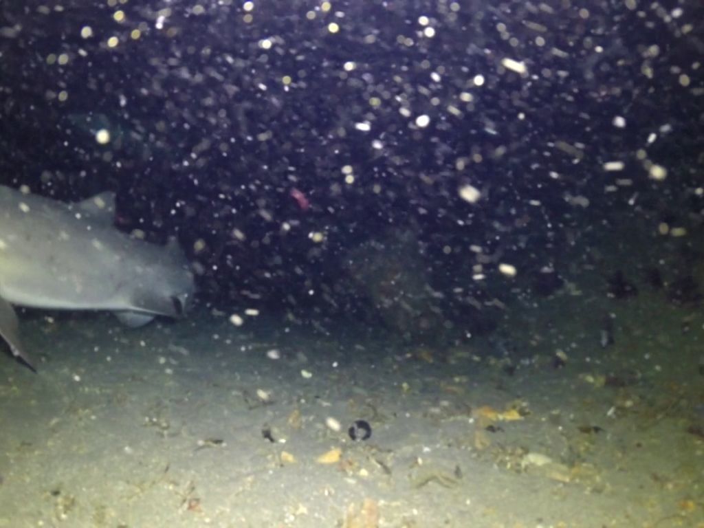 0d260e34-9ce3-4c93-bf13-bd6ac3d0ecfb