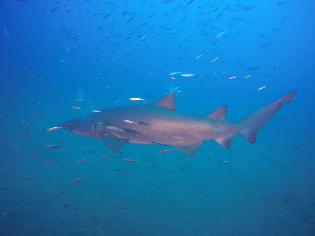 72db7132-eedb-4876-951c-82fa8e9517b4