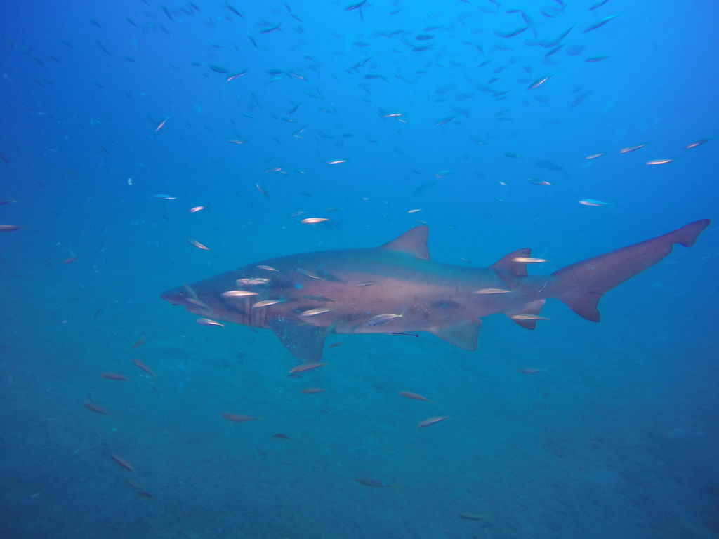 72db7132-eedb-4876-951c-82fa8e9517b4