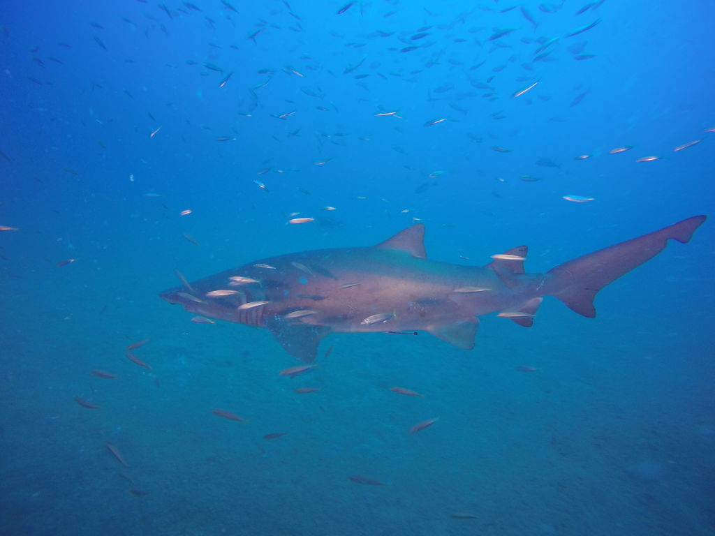 72db7132-eedb-4876-951c-82fa8e9517b4