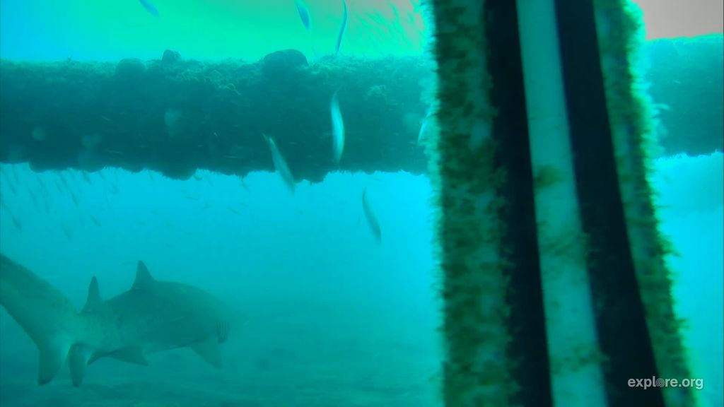 06a78948-86d7-4983-b998-196f1b68a9ce