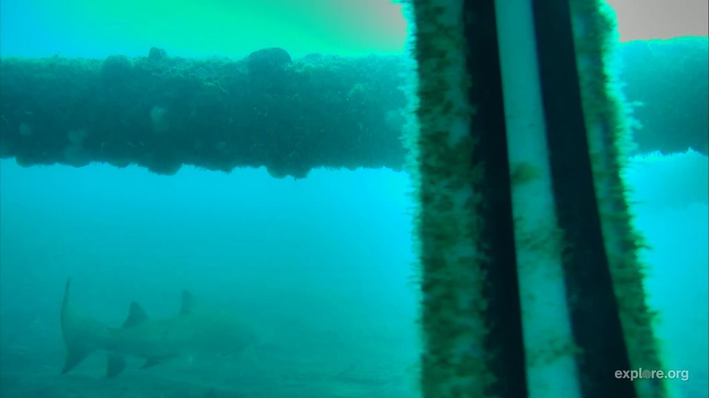 06a78948-86d7-4983-b998-196f1b68a9ce