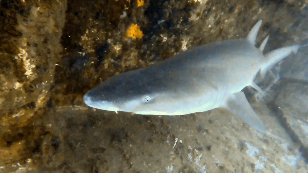 cd92785e-1c86-4b8d-ade9-320f5d41cf9f