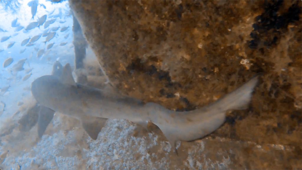 cd92785e-1c86-4b8d-ade9-320f5d41cf9f