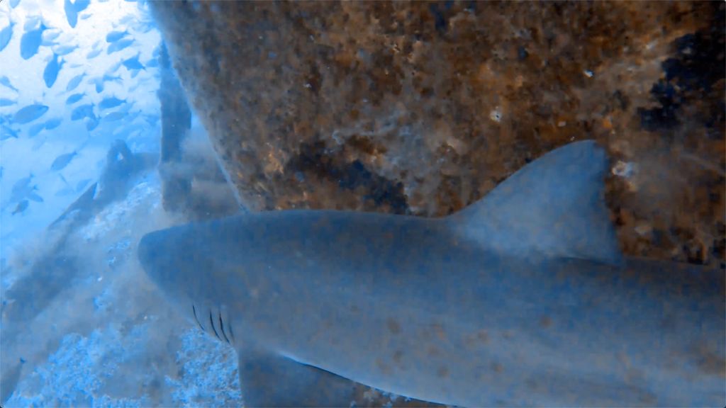 cd92785e-1c86-4b8d-ade9-320f5d41cf9f