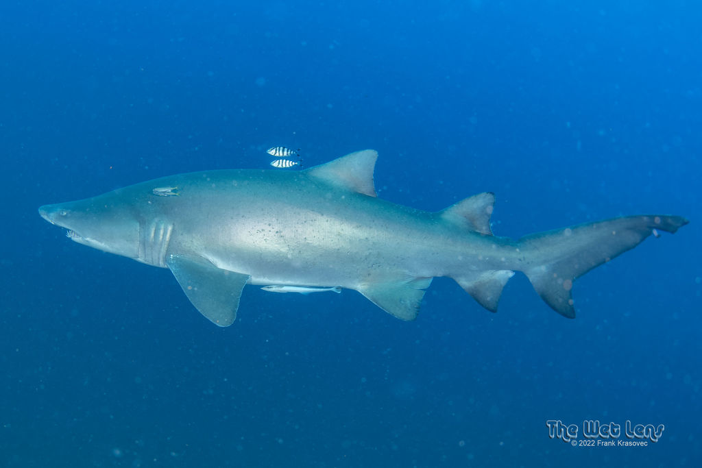 7276c158-9d5a-4c0d-ad3f-fc7280c509b6