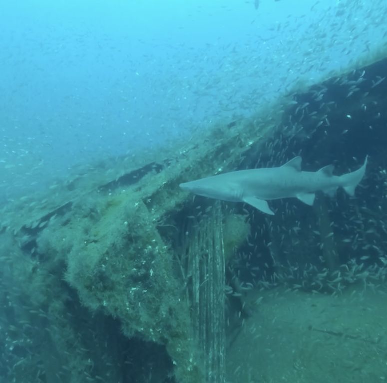 ff547141-83b6-4445-b7bf-1160db92ce96