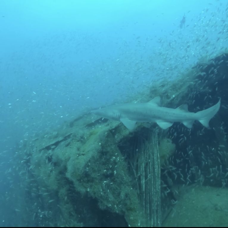 ff547141-83b6-4445-b7bf-1160db92ce96