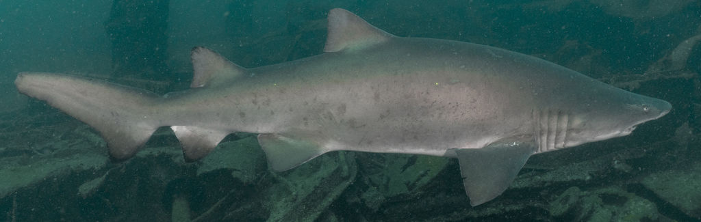 db5b981e-fa63-4456-b80b-e86d994e617e