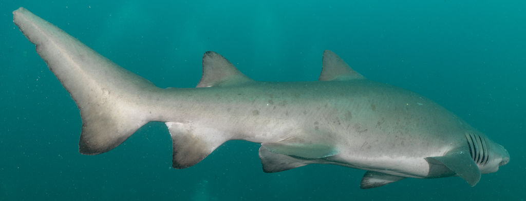 db5b981e-fa63-4456-b80b-e86d994e617e