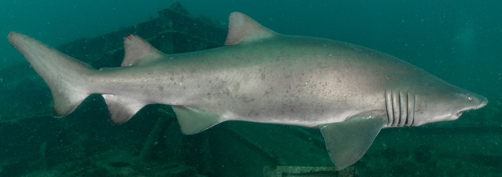 db5b981e-fa63-4456-b80b-e86d994e617e