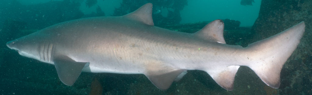 db5b981e-fa63-4456-b80b-e86d994e617e