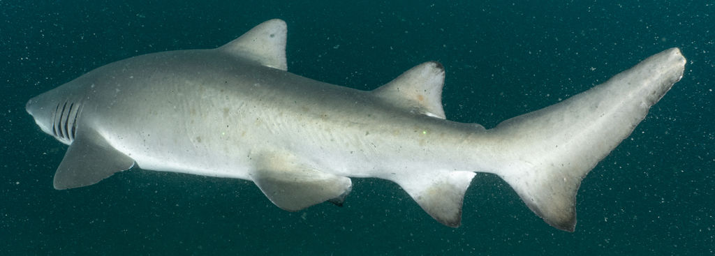 db5b981e-fa63-4456-b80b-e86d994e617e