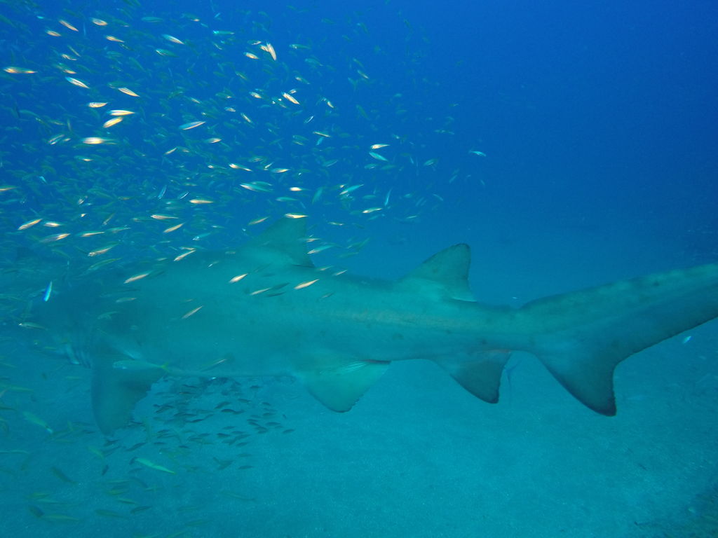 eccc2db6-8e7c-4e3e-87ce-fcc0786b4045