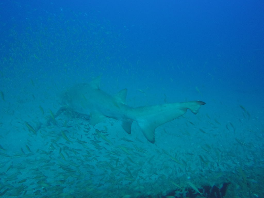 eccc2db6-8e7c-4e3e-87ce-fcc0786b4045