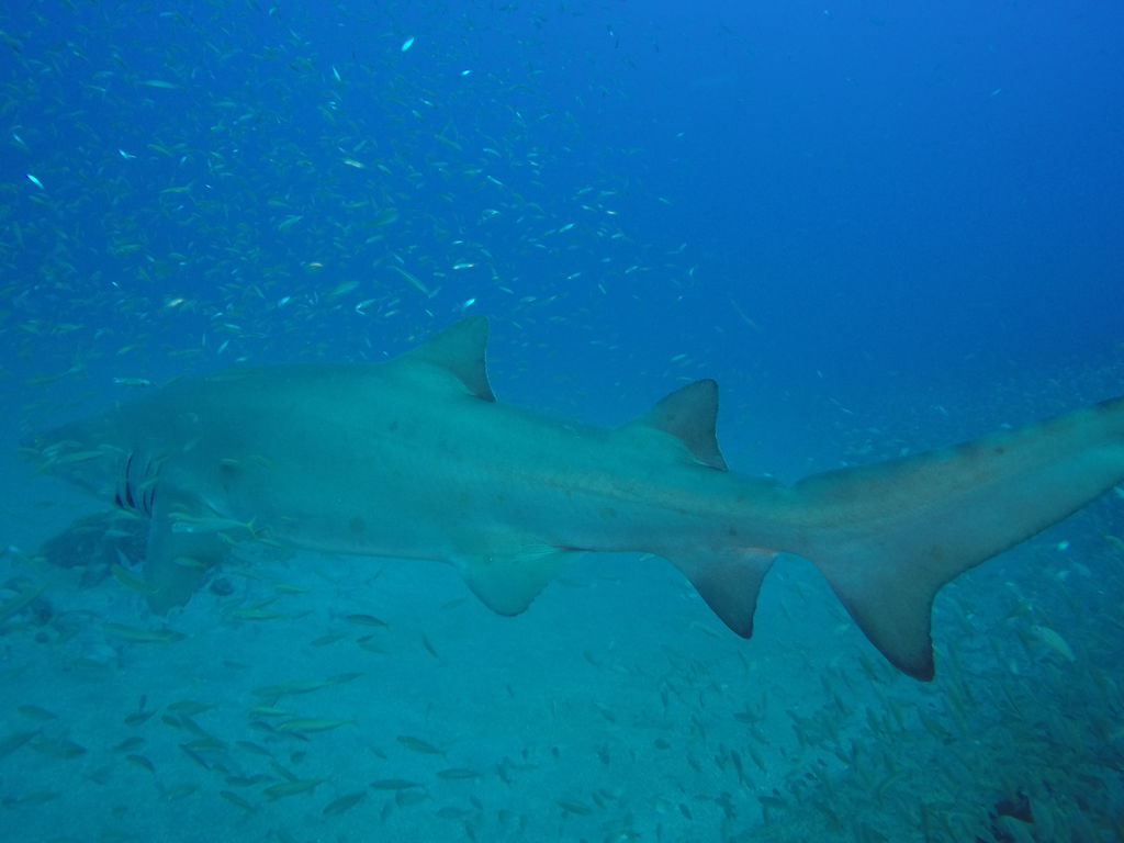 eccc2db6-8e7c-4e3e-87ce-fcc0786b4045