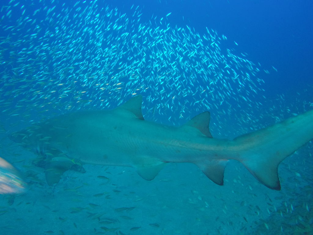 eccc2db6-8e7c-4e3e-87ce-fcc0786b4045