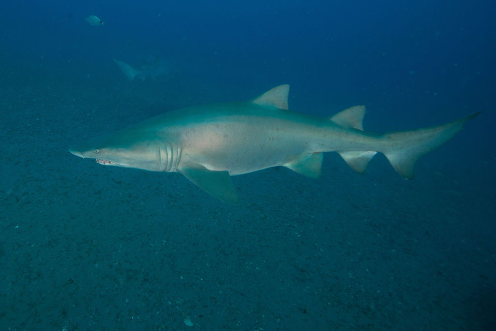 bf77b1a9-042f-4d95-9bdb-499d9378d6ad