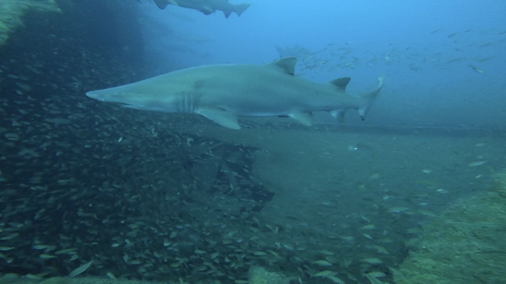 326cc668-4595-4869-8f6b-1ec1f3519b04