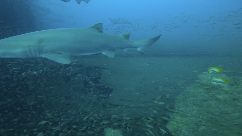 326cc668-4595-4869-8f6b-1ec1f3519b04