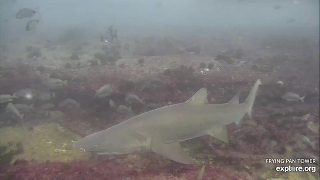 4115291b-3551-4d51-b70c-1290136c3cd6