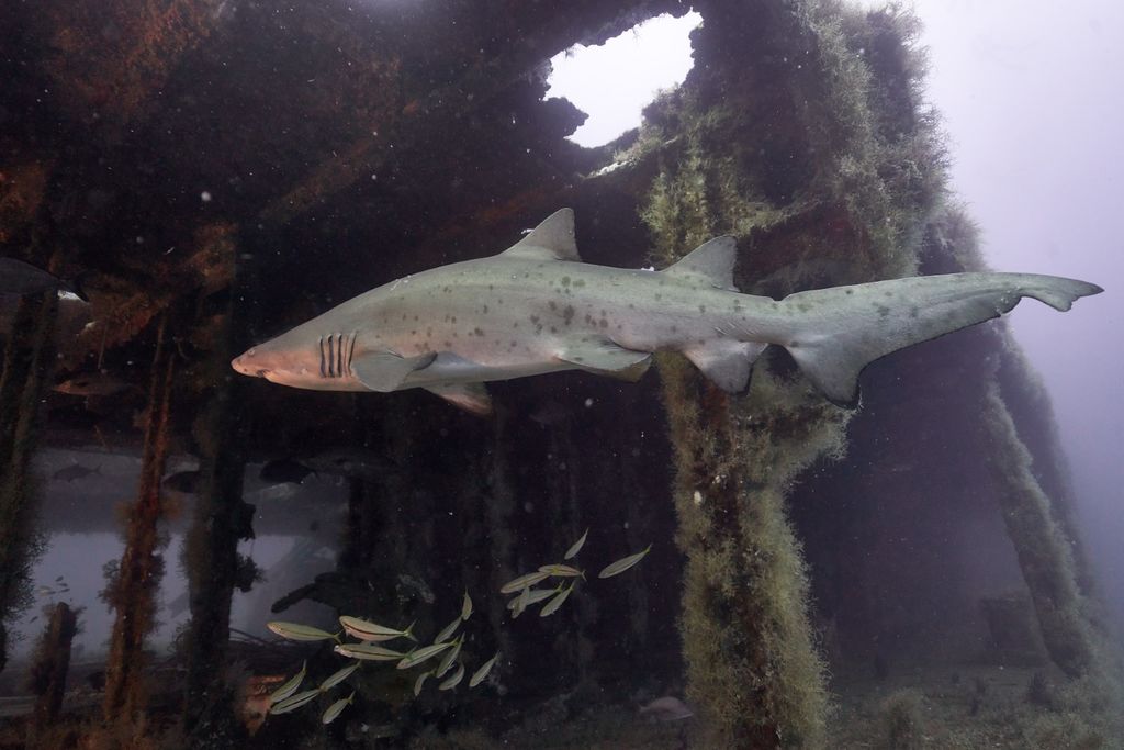 2e9b18a5-a8ee-4f7f-b662-a3479536035a