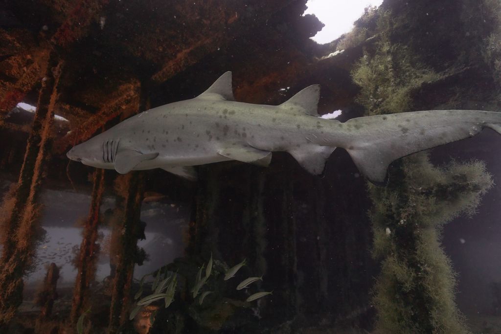 2e9b18a5-a8ee-4f7f-b662-a3479536035a