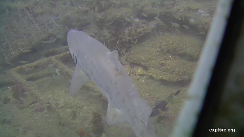 3c13c7fd-aef7-4548-932e-a068d7f00294