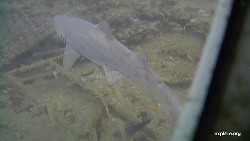 3c13c7fd-aef7-4548-932e-a068d7f00294