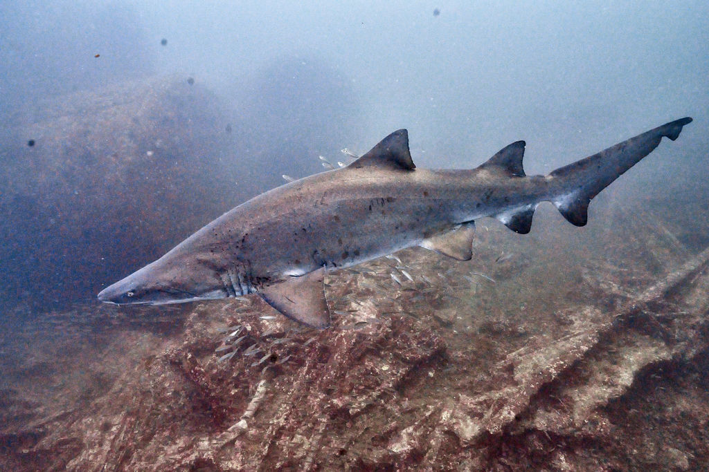 471be266-51ce-446a-8f59-d3b096047eee